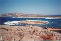 asinara