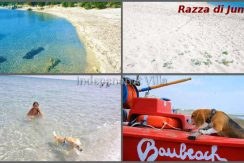 131 Razza di Junco beach Bau beach