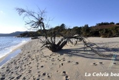 38 Spiaggia La Celvia