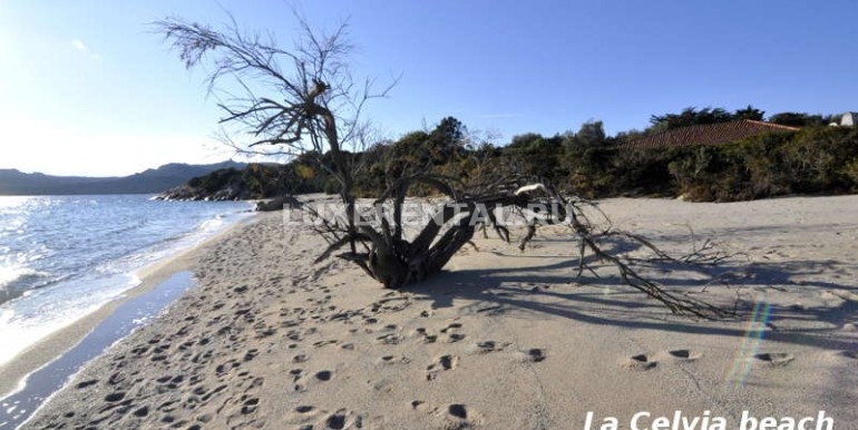 38 Spiaggia La Celvia