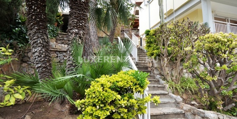 Garden and stairs