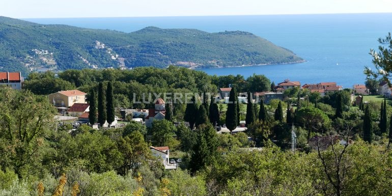 View_left