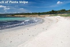 54 spiaggia punta volpe