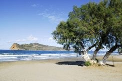 4013173 - the tree with the island as background in agia marina, chania, crete