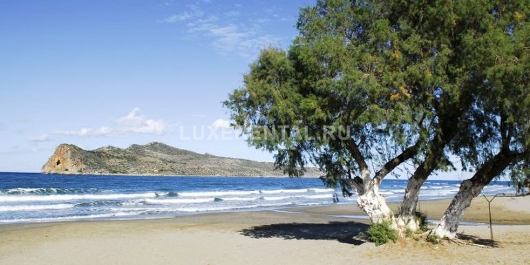 4013173 - the tree with the island as background in agia marina, chania, crete